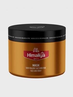 Skin Healing Salt Mud Mask<br>BC-1-3