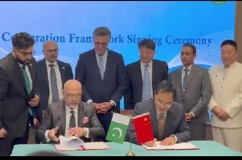 High-quality Pakistani pink rock salt processed using modern technology for global supply chain export under the Pak-China agreement.